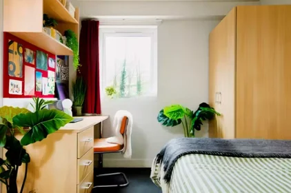 Habitación privada en 101 Raw Dykes Road, Leicester, LE2 7FP, imagen 36 de 36
