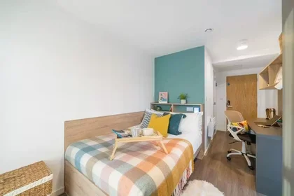 私人房间 在 Arundel House, Whitefriars Lane, Coventry, CV1 2NA, 49的图像37