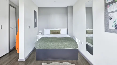 Habitación privada en 1 Far Gosford Street, CV1 5DH, imagen 21 de 30