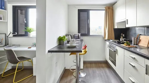 Habitación privada en 1 Far Gosford Street, CV1 5DH, imagen 23 de 30