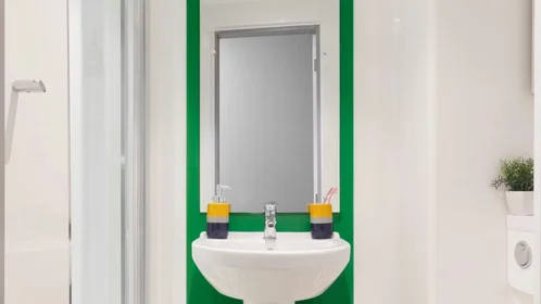 Habitación privada en 1 Far Gosford Street, CV1 5DH, imagen 30 de 30