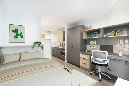 Privatzimmer in der Boyce House, 47 Kyle Street, Glasgow, G4 0JQ, bild 41 von 49