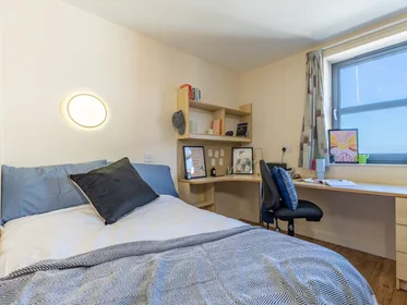 Chambre privée à Europa 190 Erskine St Liverpool L6 1AL, image 5 de 38