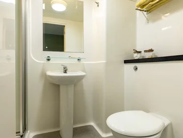 Privatzimmer in der Europa 190 Erskine St Liverpool L6 1AL, bild 14 von 38