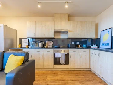 Privatzimmer in der Europa 190 Erskine St Liverpool L6 1AL, bild 18 von 38