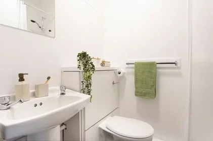 Prywatny pokój 2-108 Cambridge Street, L7 7JB, obraz 11 16