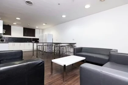 Habitación privada en City Point, Great Homer Street, Liverpool L5 3LD, imagen 11 de 24