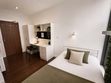 Habitación privada en City Point, Great Homer Street, Liverpool L5 3LD, imagen 13 de 24