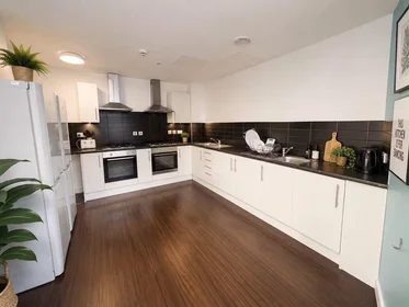 Habitación privada en City Point, Great Homer Street, Liverpool L5 3LD, imagen 16 de 24