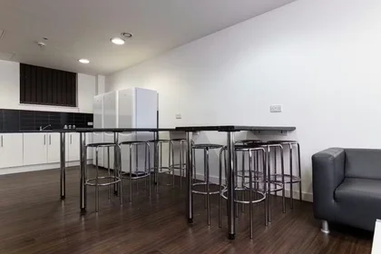 Özel oda konumu City Point, Great Homer Street, Liverpool L5 3LD, 17 24 görüntüsü
