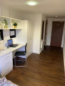 Habitación privada en City Point, Great Homer Street, Liverpool L5 3LD, imagen 8 de 24