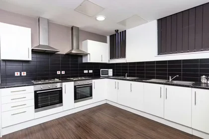 Habitación privada en City Point, Great Homer Street, Liverpool L5 3LD, imagen 10 de 24