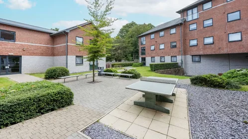 Stanza privata in Llys Y Deon, Dean Street, Bangor, Gwynedd, LL57 1US, immagine 31 di 32