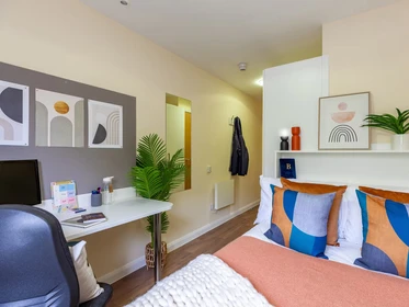 Chambre à louer dans un appartement en colocation à Bangor