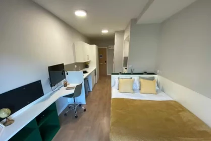 Chambre à louer dans un appartement en colocation à Bath