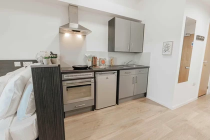 Özel oda konumu Avon Studios, Midland Road, Bath, BA1 3BZ, 50 71 görüntüsü