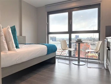 Chambre à louer dans un appartement en colocation à Belfast