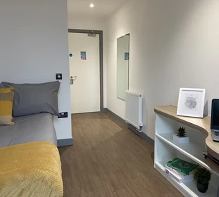 Room for rent in a shared flat in Belfast