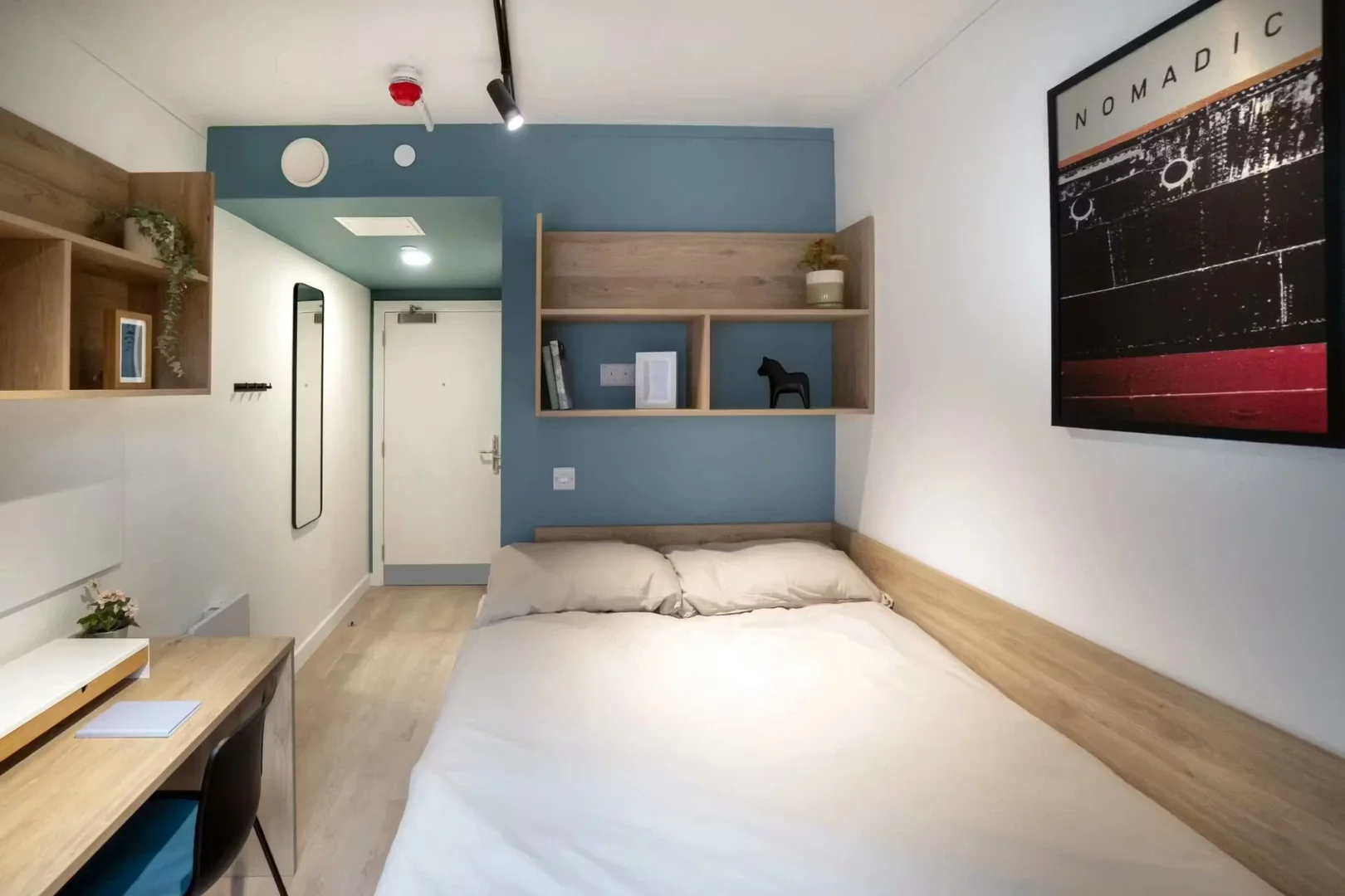 Affordable room for students with ample lighting in 