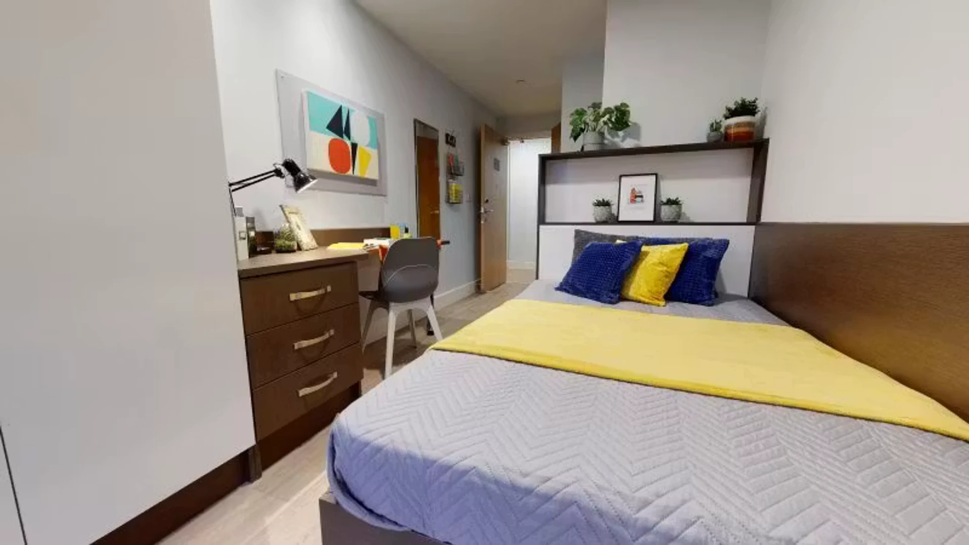 Affordable room for students with ample lighting in 