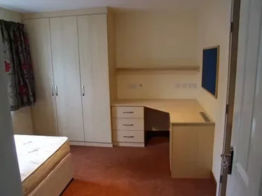 Habitación privada en 100 Ferncliffe Rd, Birmingham B17 0QH, United Kingdom, imagen 21 de 26