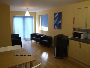 Habitación privada en 100 Ferncliffe Rd, Birmingham B17 0QH, United Kingdom, imagen 22 de 26