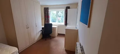 Habitación privada en 100 Ferncliffe Rd, Birmingham B17 0QH, United Kingdom, imagen 25 de 26