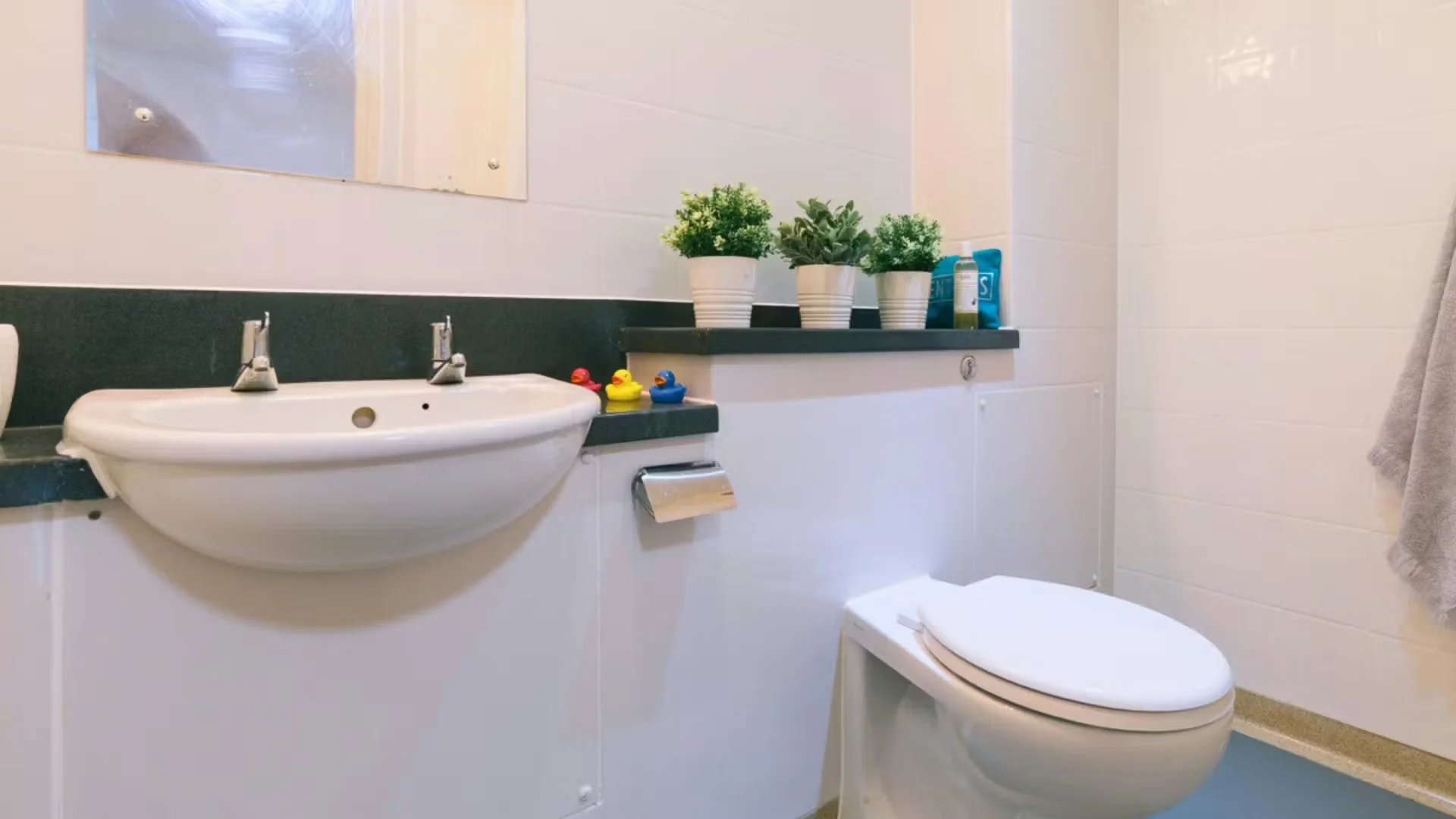 经济实惠的学生公寓，位于，交通便利