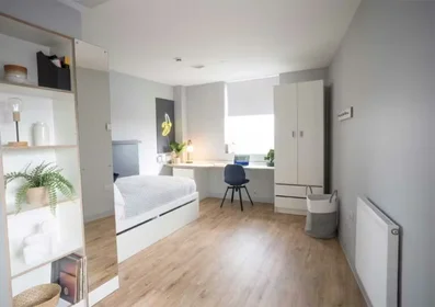 Chambre privée à Glossop Rd Adamsdown Cardiff CF24 0JU, image 15 de 49