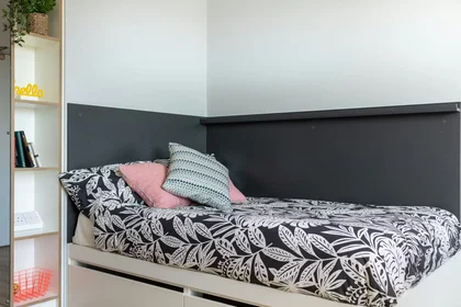 Chambre privée à Glossop Rd Adamsdown Cardiff CF24 0JU, image 37 de 49