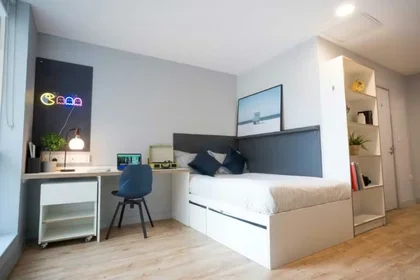 Chambre privée à Glossop Rd Adamsdown Cardiff CF24 0JU, image 46 de 49