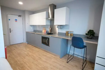 Chambre privée à Glossop Rd Adamsdown Cardiff CF24 0JU, image 47 de 49