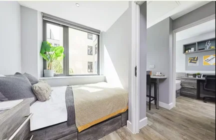 Habitación privada en 1-6 St Andrew's Pl, Cardiff CF10 3BE, United Kingdom, imagen 22 de 48