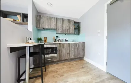 Habitación privada en 1-6 St Andrew's Pl, Cardiff CF10 3BE, United Kingdom, imagen 29 de 48