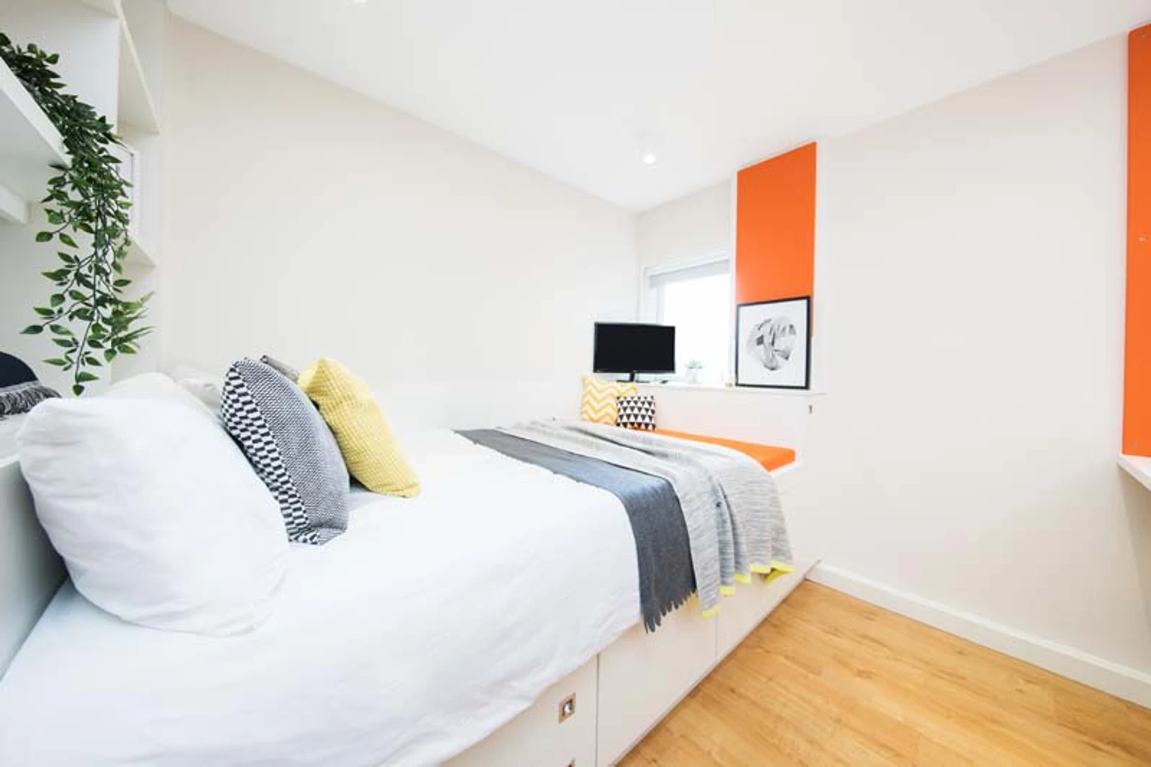 Renting rooms by the month in Cardiff