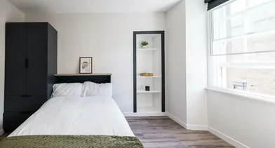 Room for rent in a shared flat in {area}