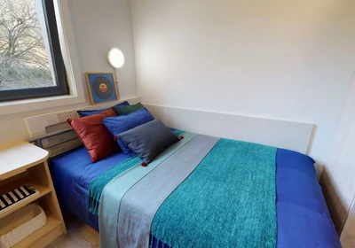 Chambre privée à 15 Parker Street, Dundee, Dundee DD1 5RW United Kingdom, image 1 de 10