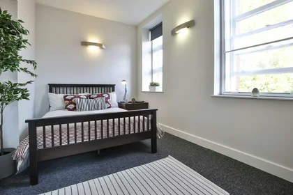 Chambre privée à Dean Clarke Lofts, Southernhay Gardens, Exeter EX1 1SG, image 1 de 7