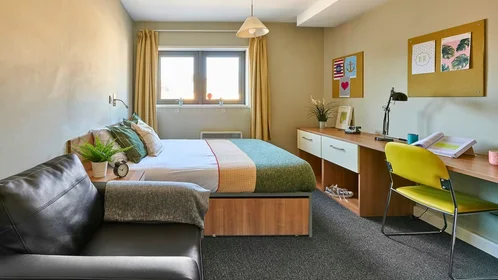 Privatzimmer in der Blackboy Rd, Exeter EX4 6TW, UK, bild 25 von 30