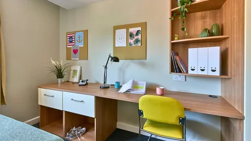 Privatzimmer in der Blackboy Rd, Exeter EX4 6TW, UK, bild 27 von 30