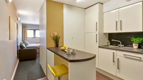 Privatzimmer in der Blackboy Rd, Exeter EX4 6TW, UK, bild 29 von 30