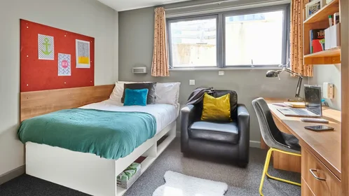 Privatzimmer in der New N Rd, Exeter EX4 4FB, United Kingdom, bild 21 von 29