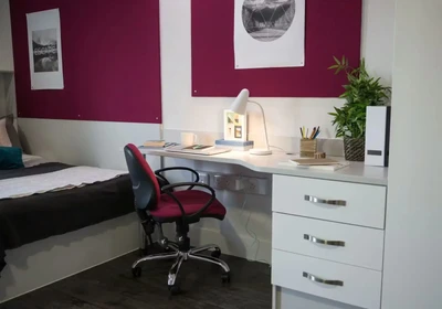 Private room at King's Bridge Rd, Huddersfield HD1 3DG, United Kingdom, image 1 of 10