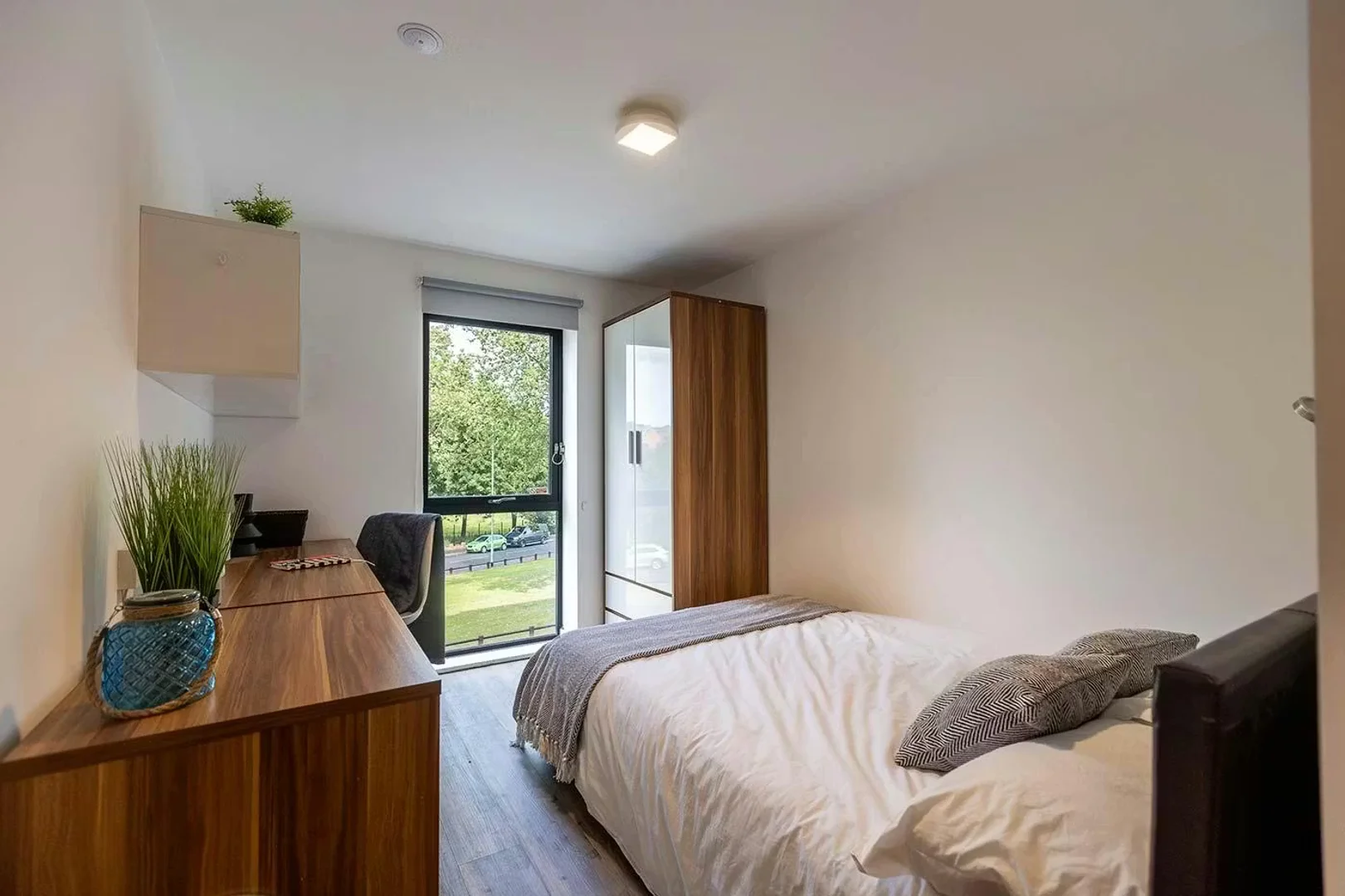 Habitación estudiantil económica cerca del campus en 