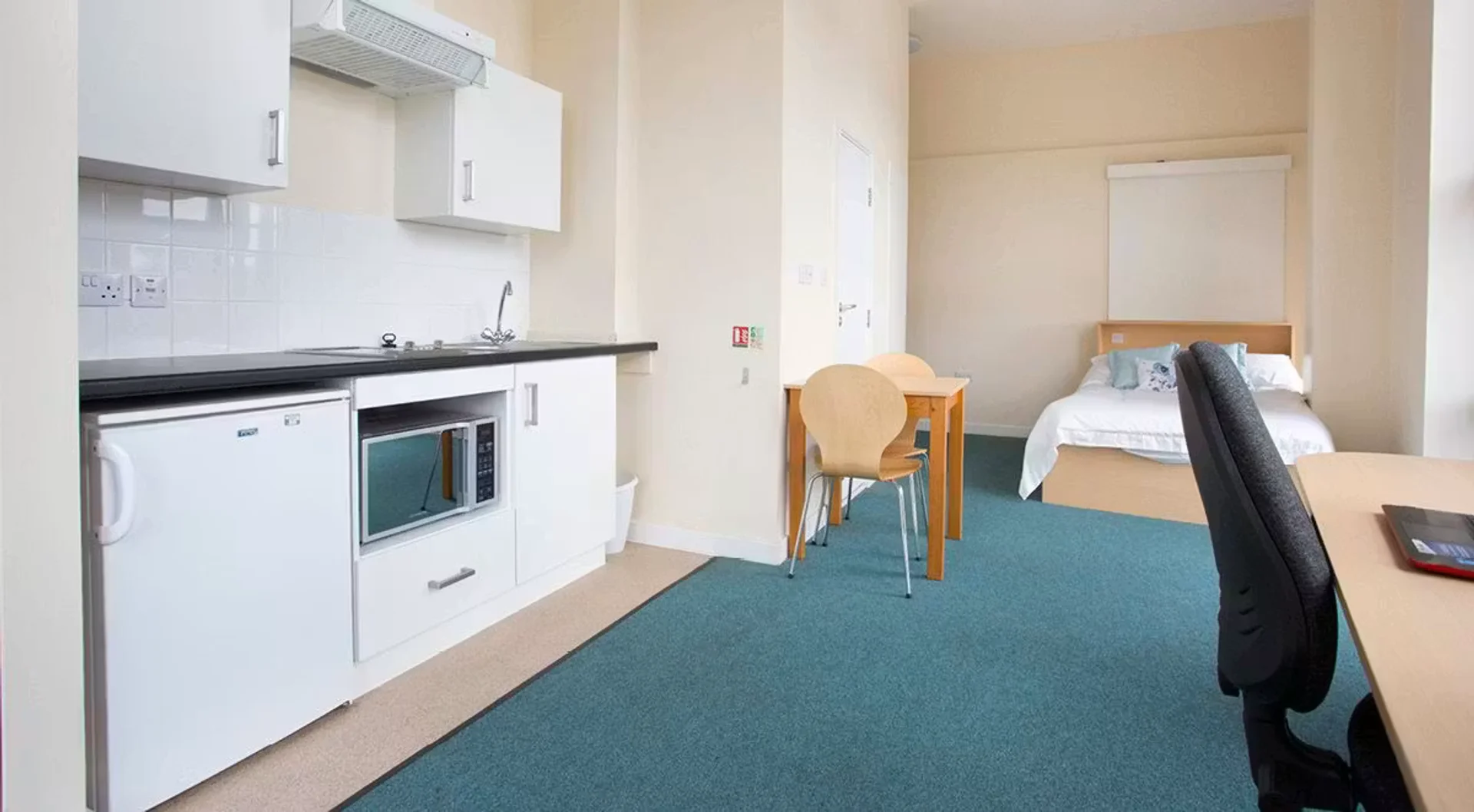Affordable room for students with ample lighting in 