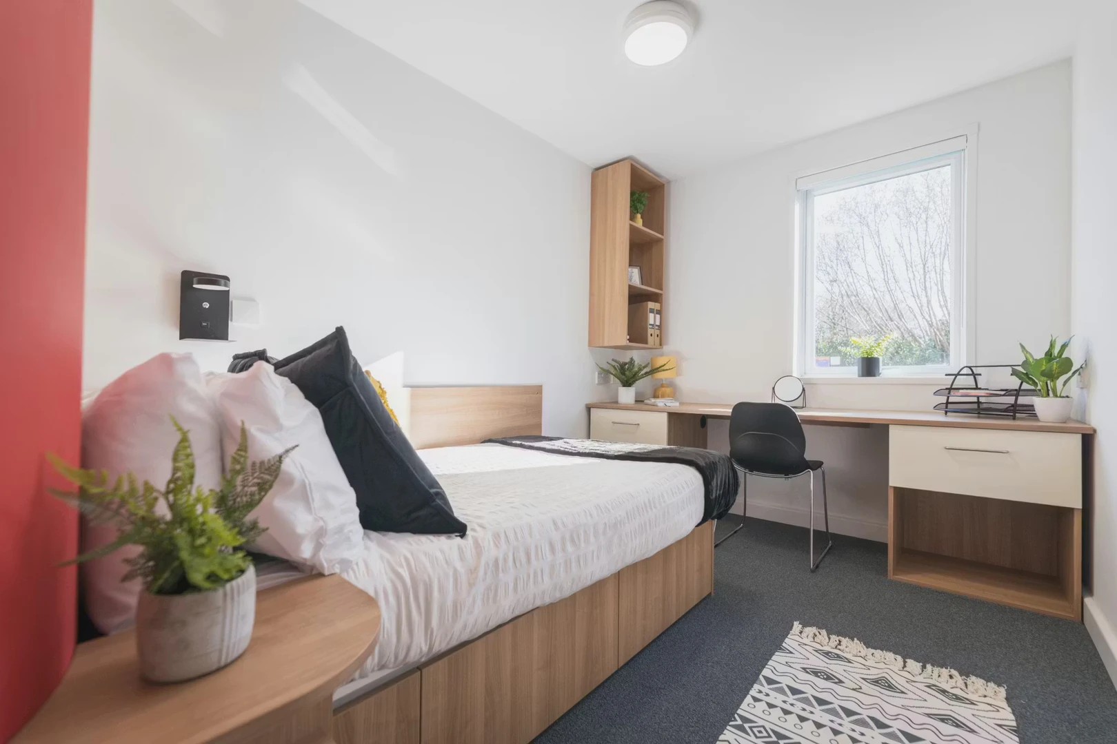 Comfortable and spacious student room in 