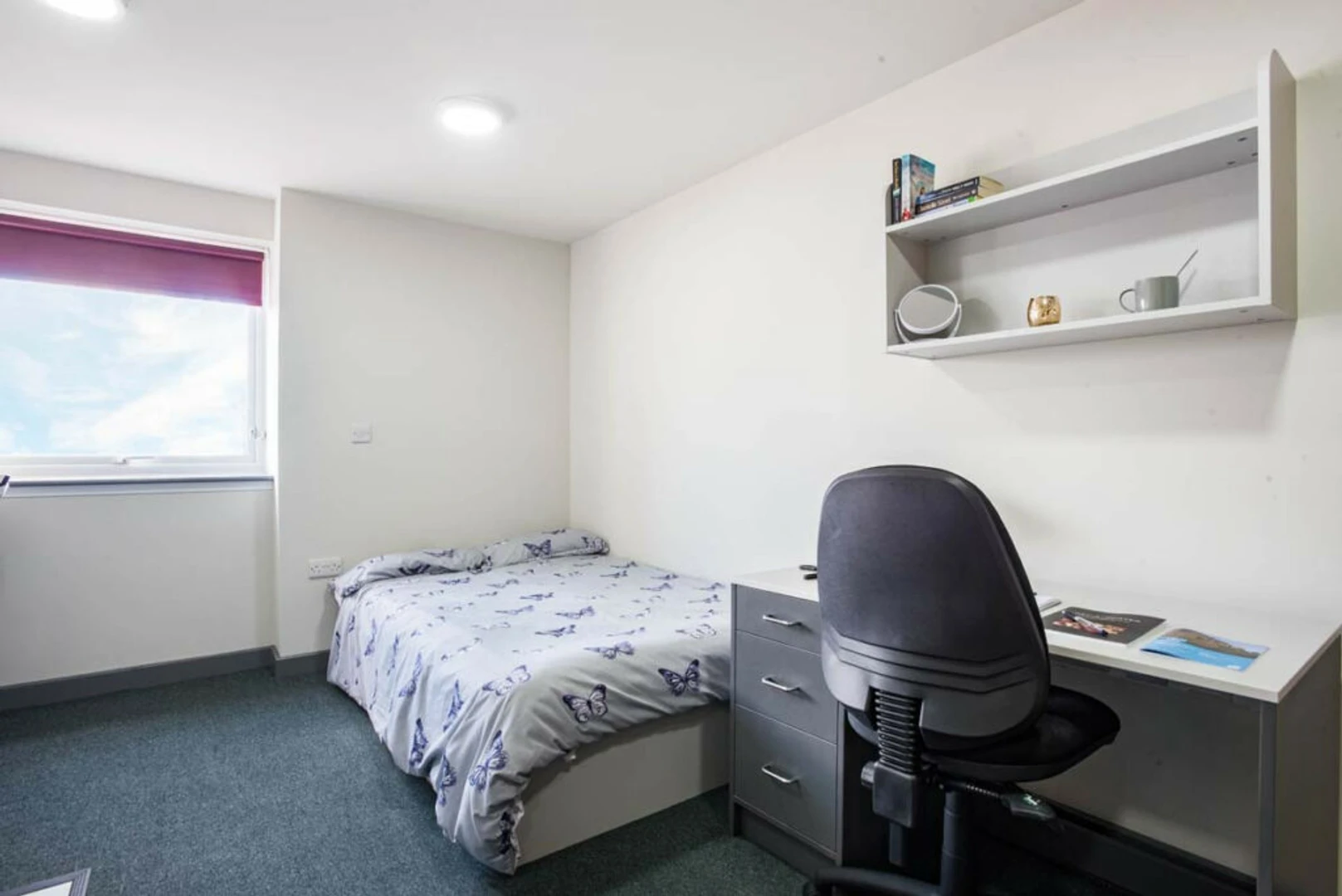 Alquiler de habitaciones por meses en Stoke-on-trent