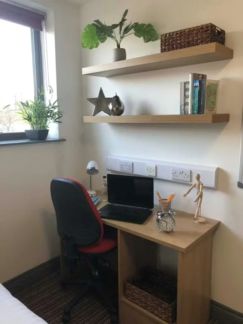 Zimmer in Studentenwohnung in zu vermieten, voll möbliert