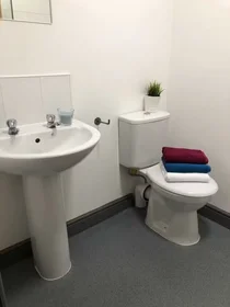 Habitación privada en Hylton Rd, Sunderland SR4 7BB, United Kingdom, imagen 37 de 37