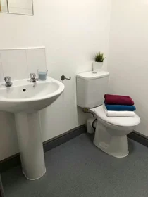 Prywatny pokój Hylton Rd, Sunderland SR4 7BB, United Kingdom, obraz 25 37